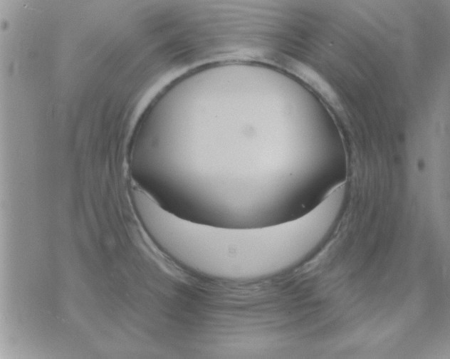 X0000071961332200607282023