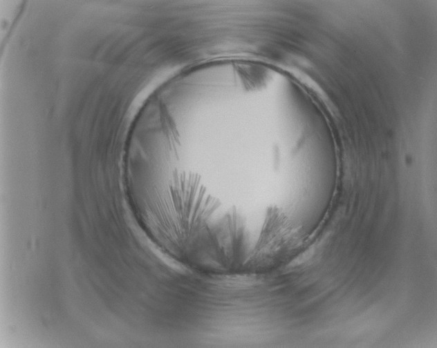 X0000071961333200607282024