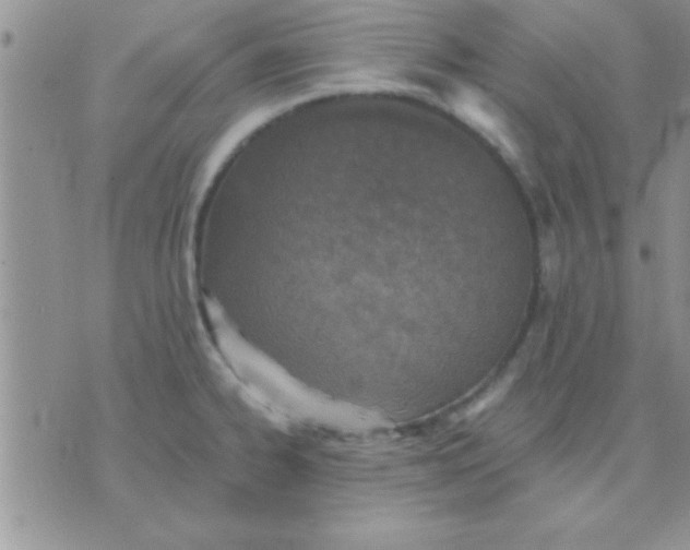 X0000071961334200607282024