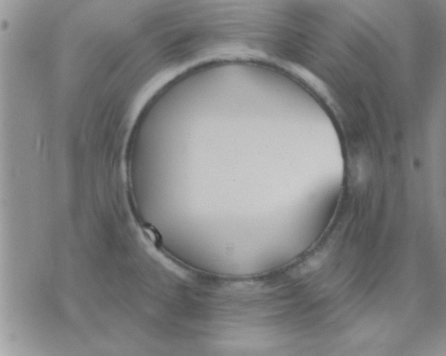 X0000071961335200607282024