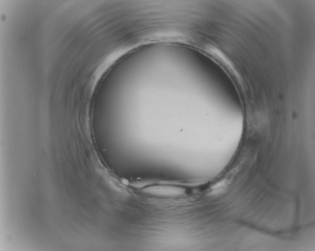 X0000071961336200607282024