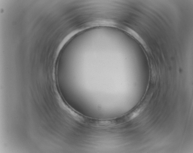 X0000071961339200607282024