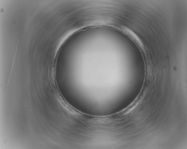 X0000071961340200607282024