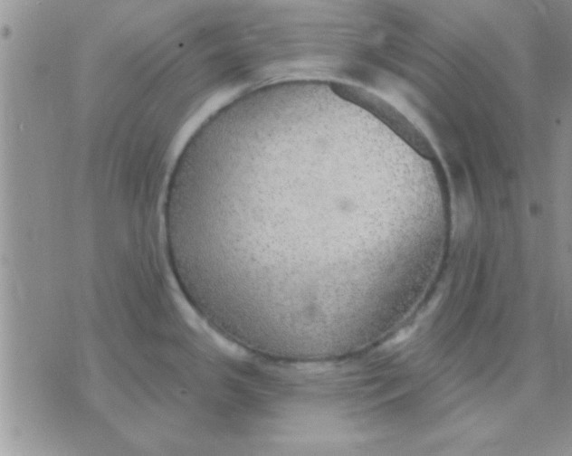 X0000071961341200607282024