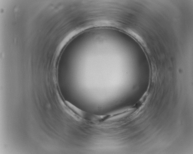 X0000071961342200607282024