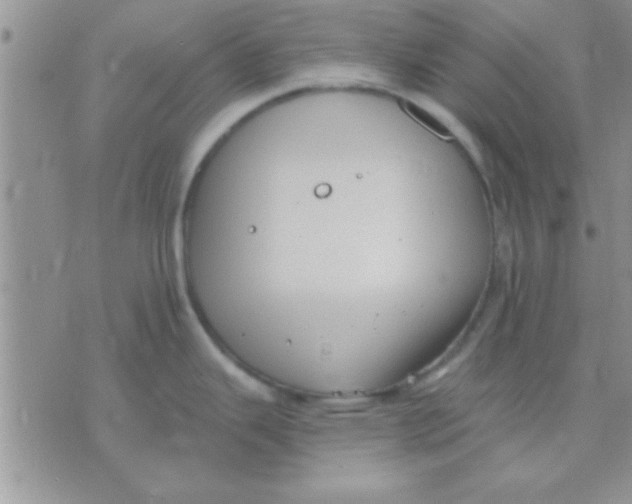 X0000071961343200607282024