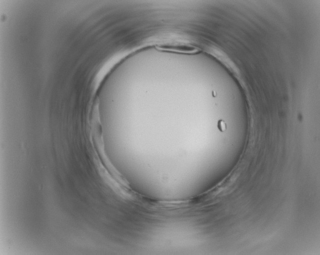 X0000071961344200607282024