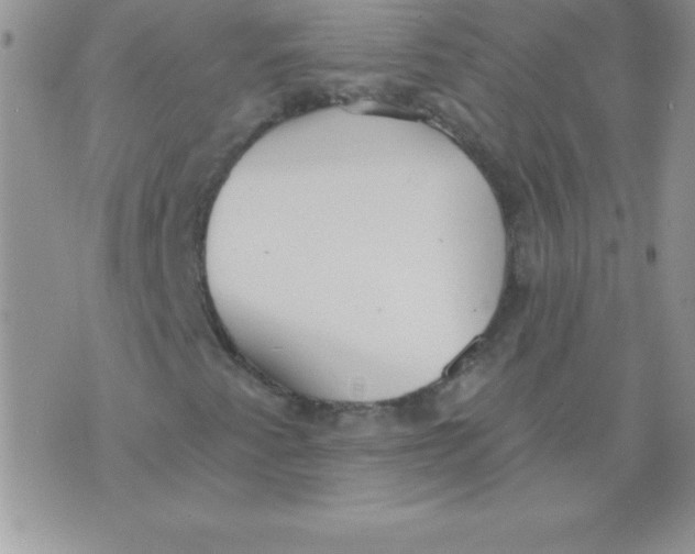 X0000071961345200607282023