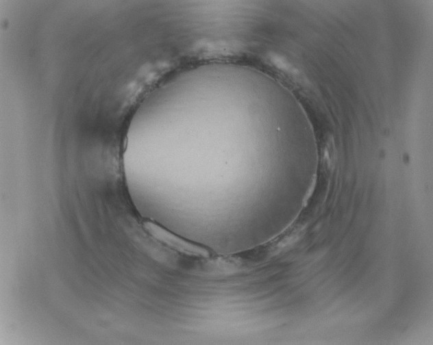 X0000071961348200607282023