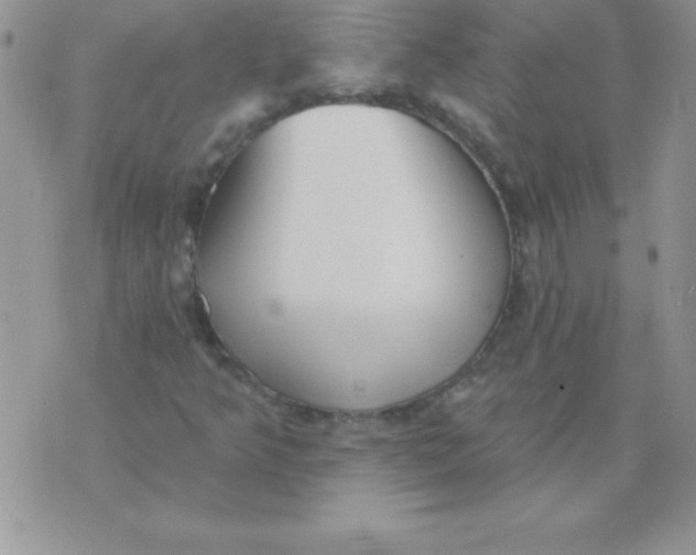 X0000071961349200607282023