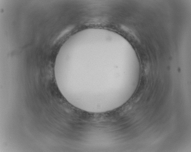 X0000071961350200607282023