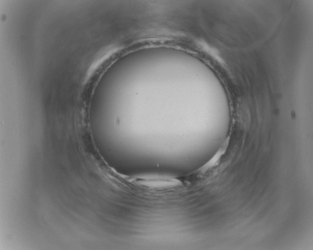 X0000071961352200607282023