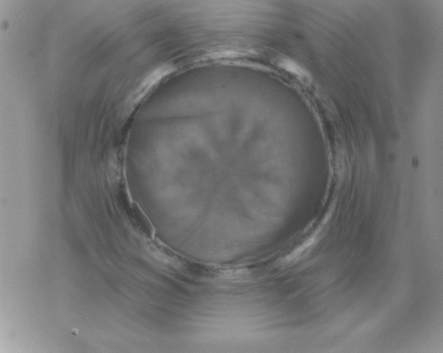 X0000071961353200607282023