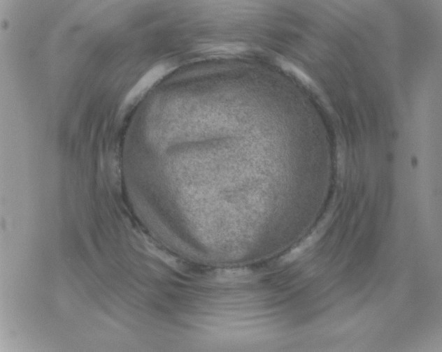 X0000071961354200607282023