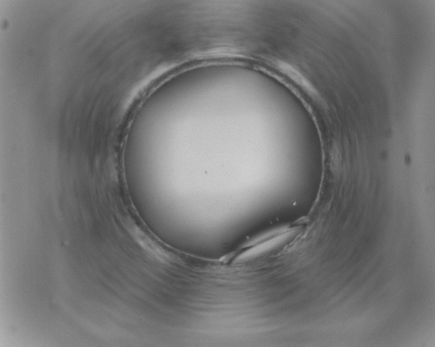 X0000071961356200607282023