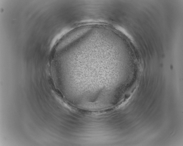 X0000071961357200607282023