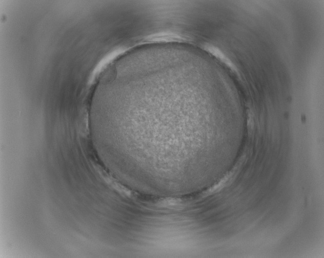 X0000071961358200607282023