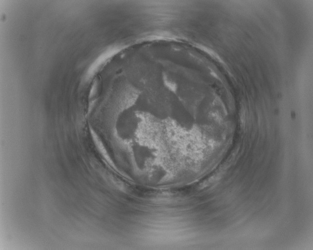 X0000071961359200607282023