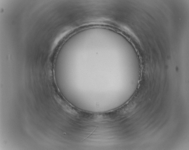 X0000071961360200607282023