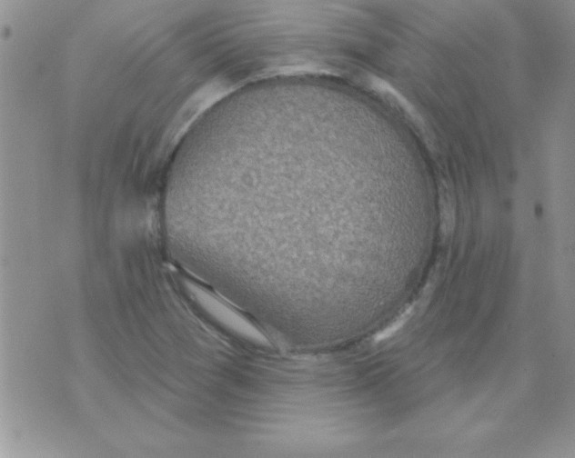 X0000071961361200607282023