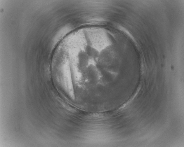 X0000071961362200607282023