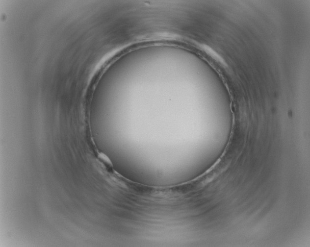 X0000071961364200607282023