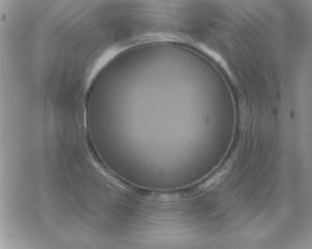 X0000071961365200607282023