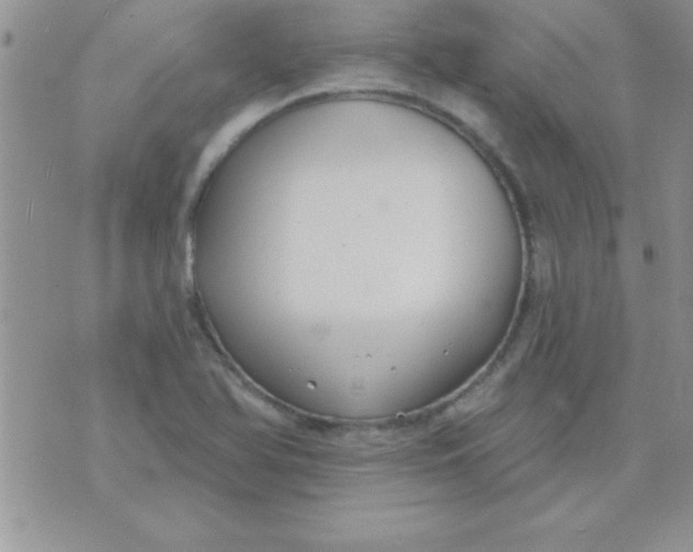 X0000071961366200607282023