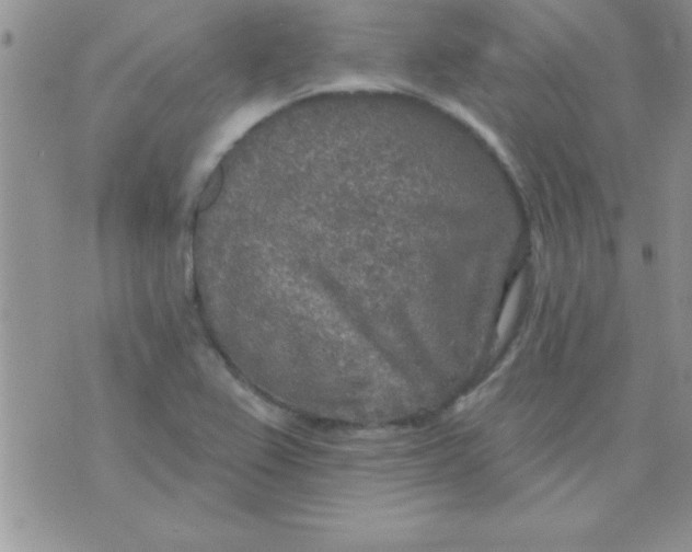 X0000071961367200607282023