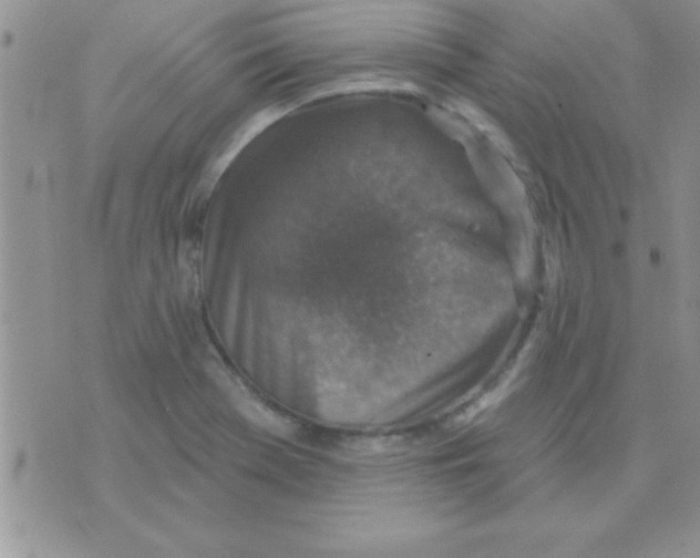 X0000071961369200607282023