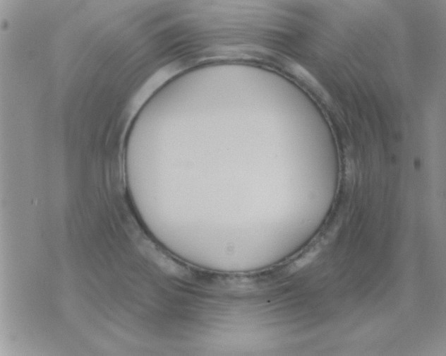 X0000071961370200607282022