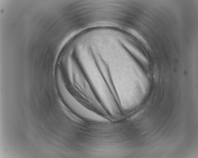 X0000071961372200607282022