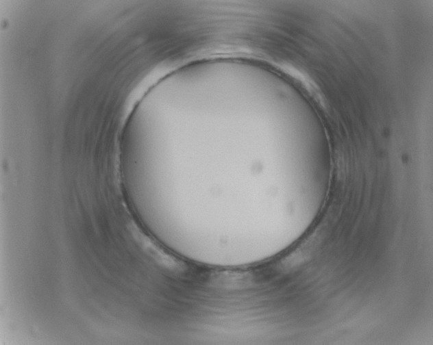 X0000071961374200607282022