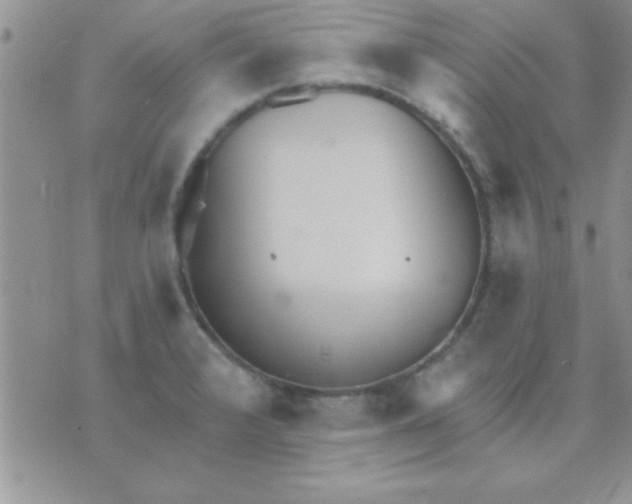 X0000071961376200607282022