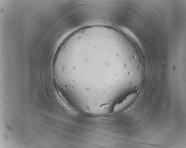 X0000071961380200607282022