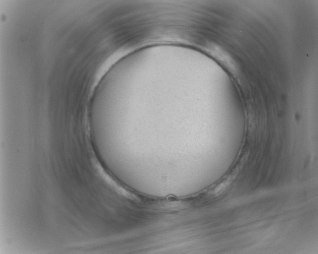 X0000071961382200607282022