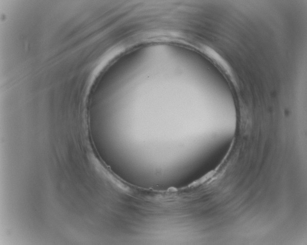 X0000071961384200607282022