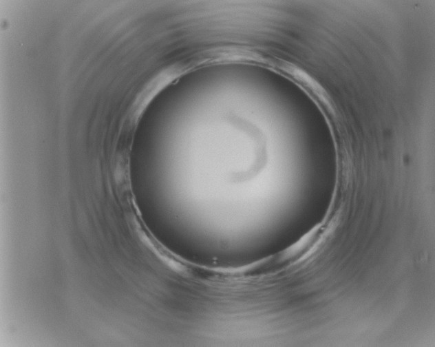 X0000071961385200607282022