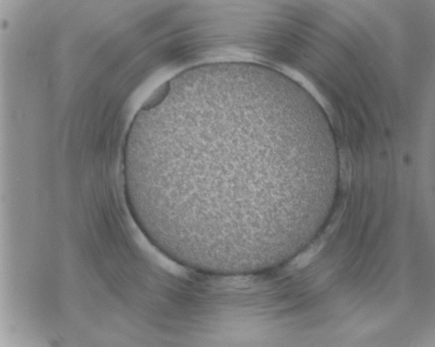 X0000071961387200607282022