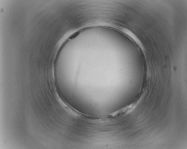 X0000071961388200607282022