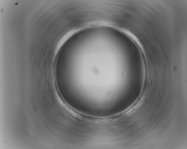 X0000071961389200607282022