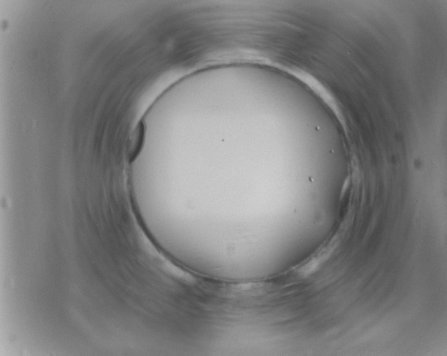 X0000071961390200607282022