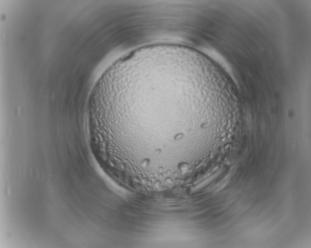 X0000071961391200607282022