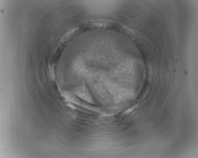 X0000071961394200607282021