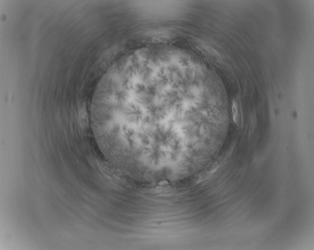 X0000071961395200607282021