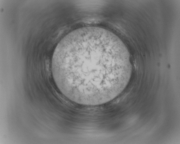 X0000071961396200607282021