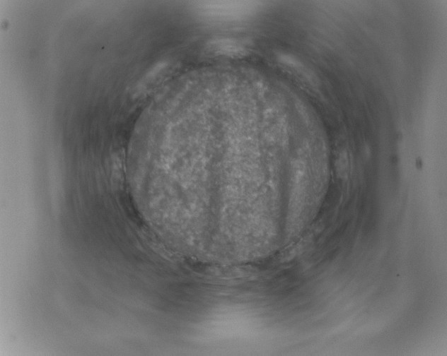 X0000071961397200607282021