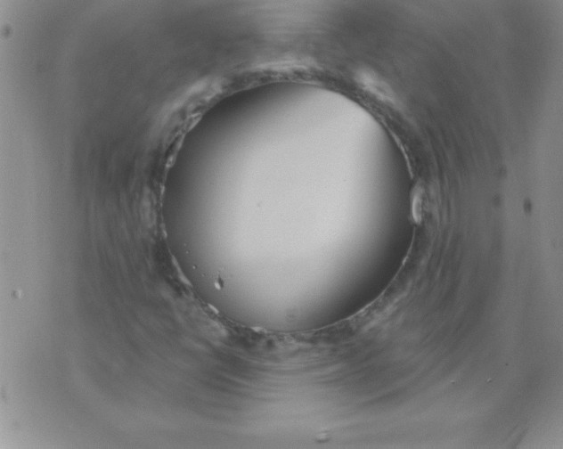 X0000071961398200607282021