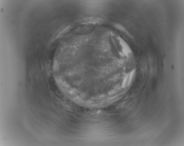 X0000071961399200607282021