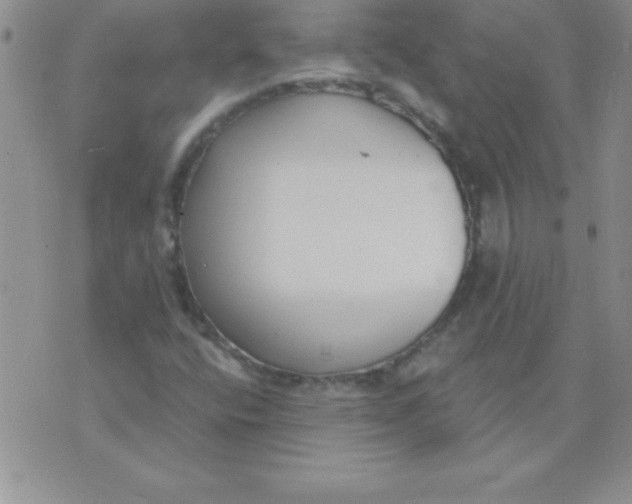 X0000071961400200607282021